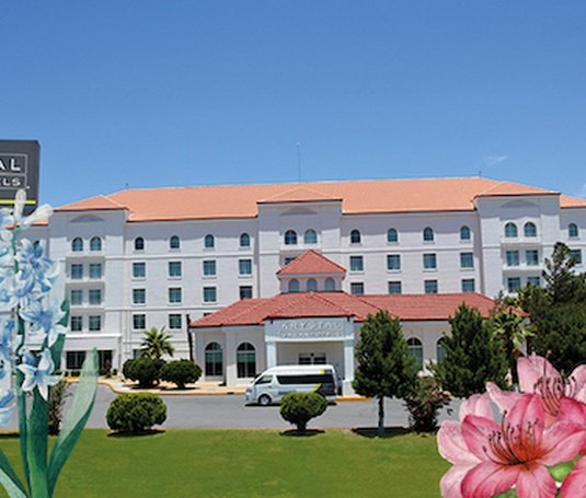 La primavera ya está aquí. Hotel Krystal Urban Cd. Juárez - 