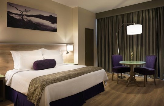 Junior Suite King Hotel Krystal Monterrey - 