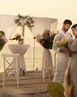 Playa Krystal Hotels & Resorts Playa Krystal Hotels & Resorts