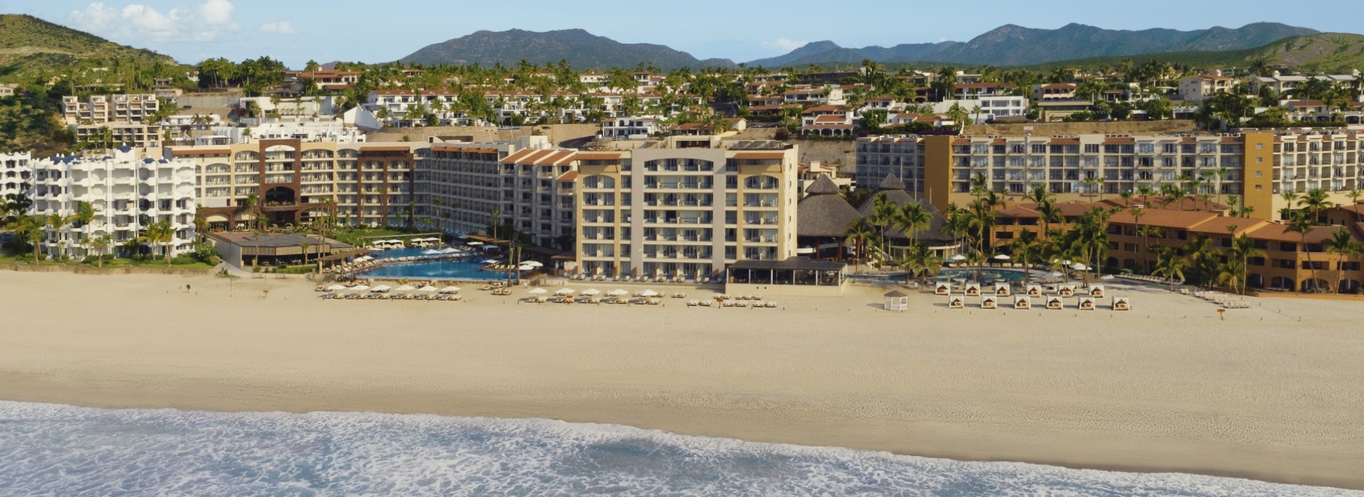 TEMPORADA DE BALLENAS EN LOS CABOS: CUÁNDO IR Y DÓNDE VERLAS Krystal Hotels & Resorts